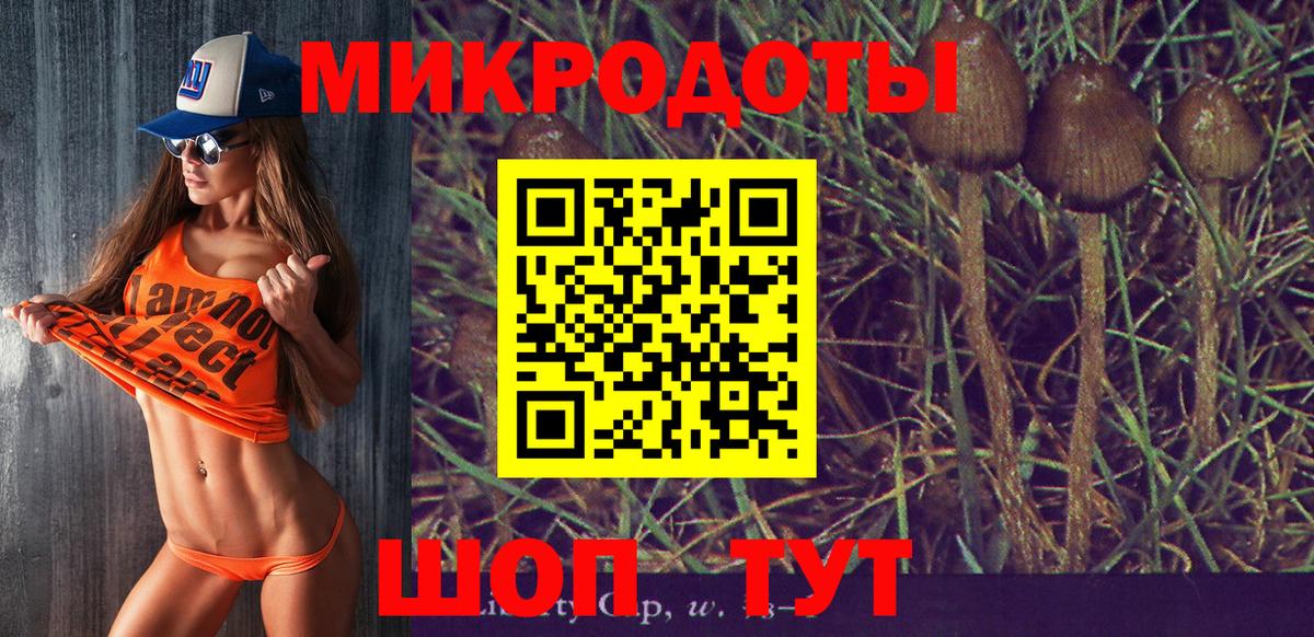 Псилоцибиновые грибы MAGIC MUSHROOMS Ефремов